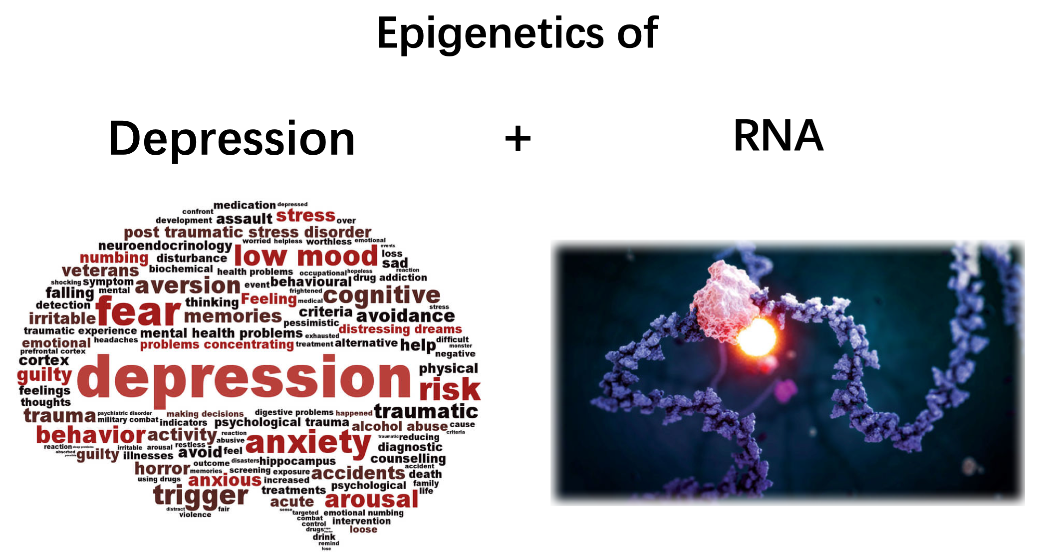 How m6A affects mental disorders
